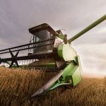 wózek do hedera, wózek do transportu hedera, Wózki do hedera, Wózki do headera, wózek headera, wózek hedera, wózek pod header, wózek jednoosiowy, wózek dwuosiowy, wózek cztery koła skrętne, wózek tandem, tandem, przystawka do zbioru rzepaku, stół do zbioru rzepaku, Producent wózków, producent przystawek do zbioru rzepaku, wózki , przystawki, Kosy Pionowe do rzepaku, Vertical Knife, Tucholski, Tucholski Sp. z o.o., Tucholski Spółka z ograniczoną odpowiedzialnością, Przedsiębiorstwo Techniczne Tucholski, Tomasz Tucholski, Boryszewo, Stare Boryszewo, Płock
