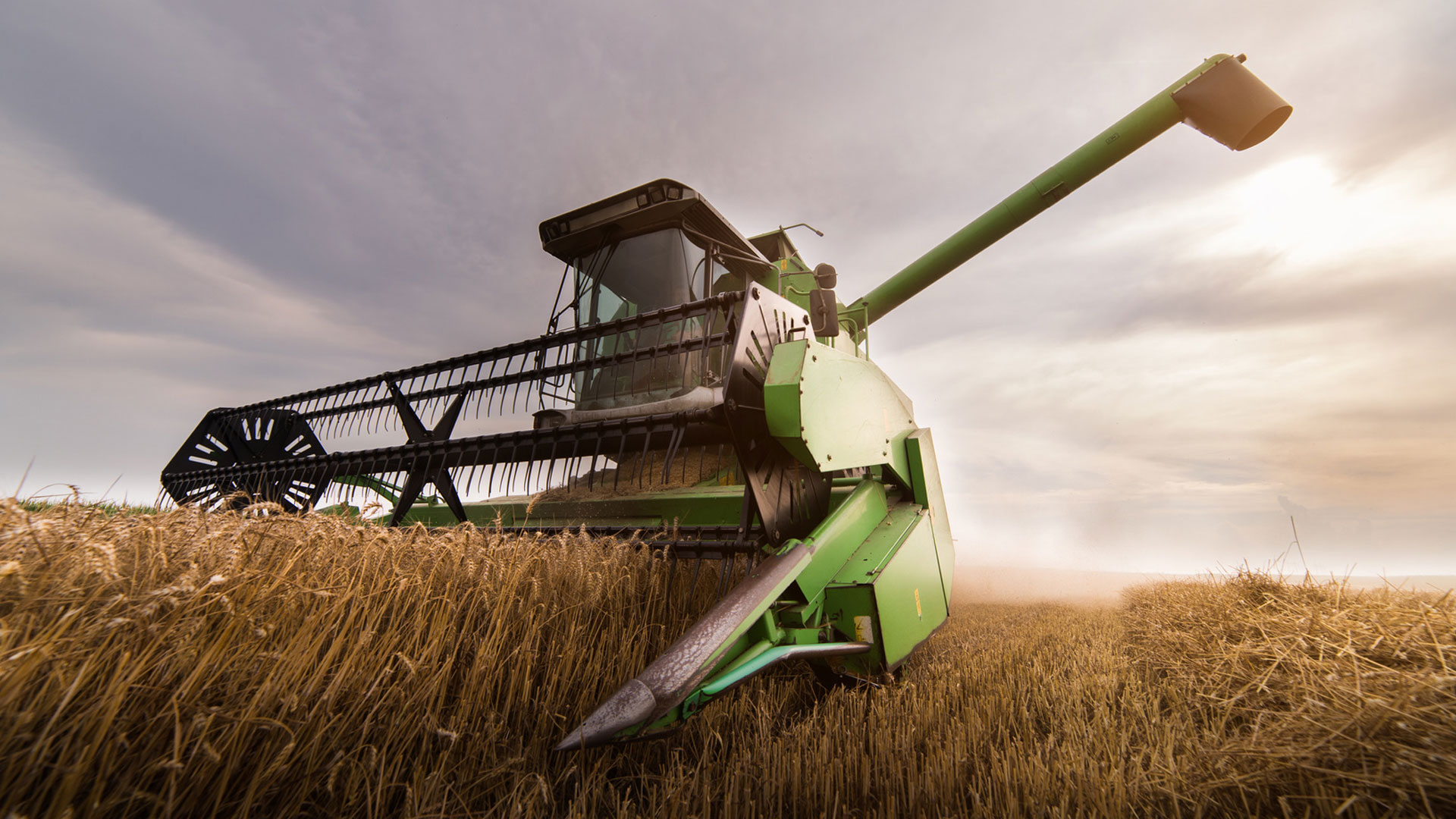 wózek do hedera, wózek do transportu hedera, Wózki do hedera, Wózki do headera, wózek headera, wózek hedera, wózek pod header, wózek jednoosiowy, wózek dwuosiowy, wózek cztery koła skrętne, wózek tandem, tandem, przystawka do zbioru rzepaku, stół do zbioru rzepaku, Producent wózków, producent przystawek do zbioru rzepaku, wózki , przystawki, Kosy Pionowe do rzepaku, Vertical Knife, Tucholski, Tucholski Sp. z o.o., Tucholski Spółka z ograniczoną odpowiedzialnością, Przedsiębiorstwo Techniczne Tucholski, Tomasz Tucholski, Boryszewo, Stare Boryszewo, Płock