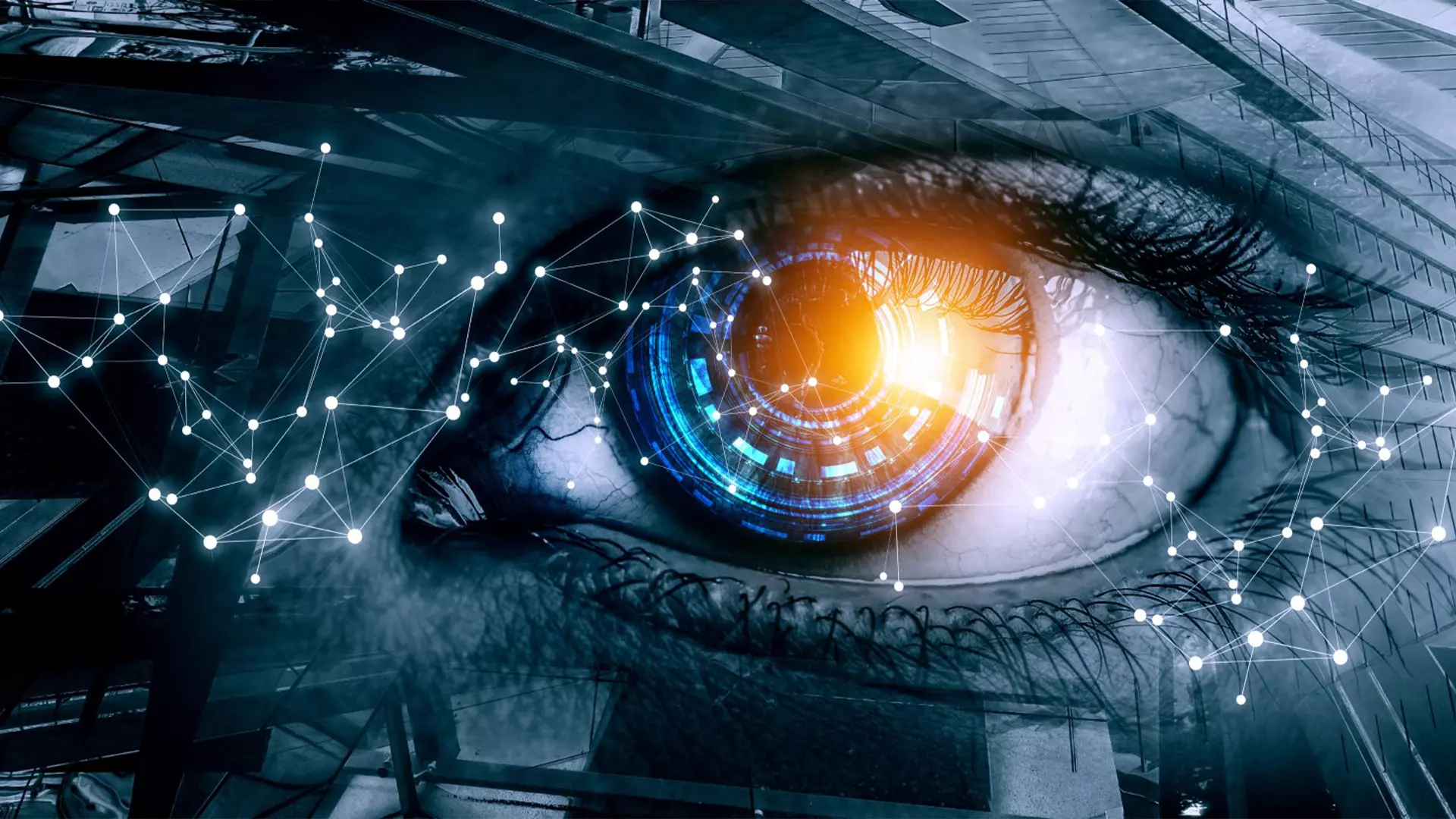 Nowe technologie w polskich biznesach w branży transportowych